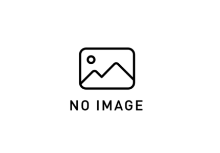 no_image_8b3040243deb0102b5d765d9b778bf52-1