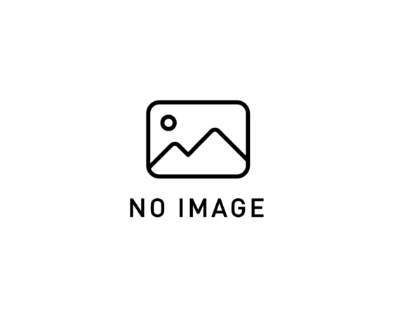 no_image_8b3040243deb0102b5d765d9b778bf52-1